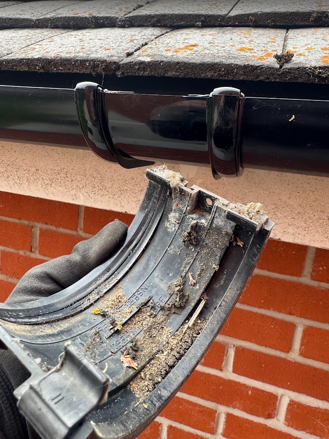Close-up of a black gutter joint with debris removed from a roofline.